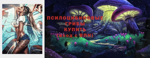 первитин Осташков