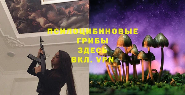 герыч Осинники