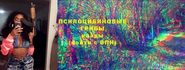 таблы Куровское